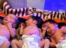 تولد نوزادان سه قلو در بیمارستان بی بی حکیمه گچساران + عکس