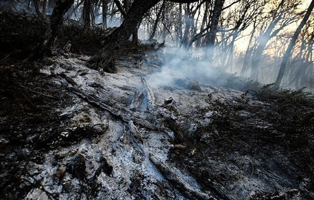مهار آتش سوزی ارتفاعات کوه سیاه کهگیلویه