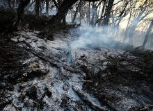 مهار آتش سوزی ارتفاعات کوه سیاه کهگیلویه