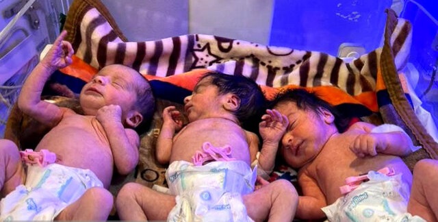 تولد نوزادان سه قلو در بیمارستان بی بی حکیمه گچساران + عکس