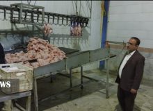 بسته مشوقی برای تولیدکنندگان مرغ؛ مازاد تولید مرغ داران خریداری می شود
