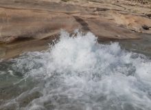 فیلم | پدیده زیبای طبیعی در کوه نیر؛ جوشش آب از تنه درخت
