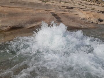 فیلم | پدیده زیبای طبیعی در کوه نیر؛ جوشش آب از تنه درخت
